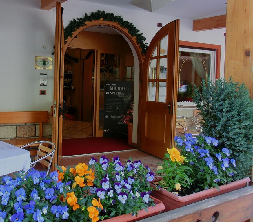 Hotel Belvedere Wellness & Family Baselga di Pine Ngoại thất bức ảnh